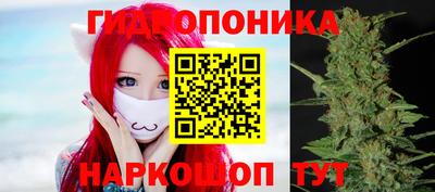 сатива Краснодар