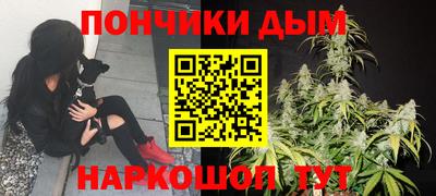 гидра Краснокаменск