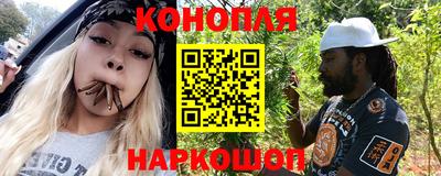 сатива Краснодар