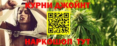 сатива Краснодар