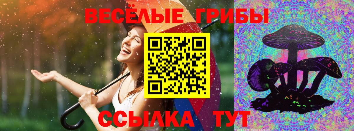 Бирск  Псилоцибиновые грибы MAGIC MUSHROOMS  Вход с VPN  Псилоцибиновые грибы ЛСД 