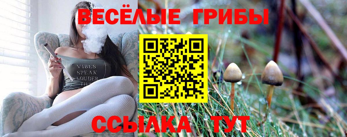 Псилоцибиновые грибы Psilocybine cubensis Бирск